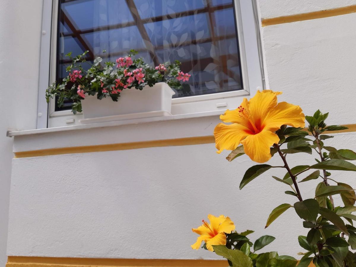 Thermal Garden Mosonmagyaróvár Eksteriør bilde